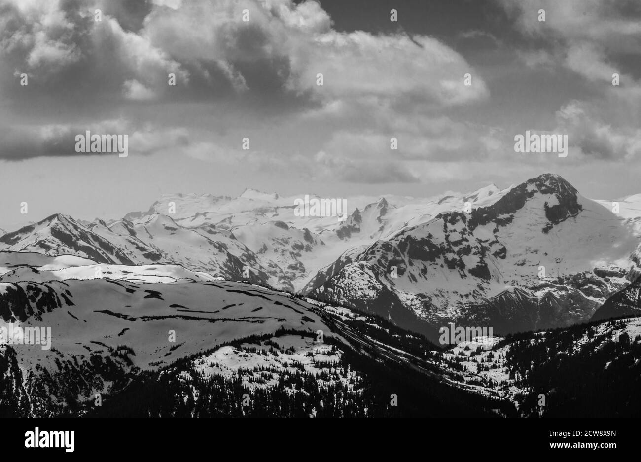 B&W Whistler in summer, BC Canada, Image 1344 Stock Photo