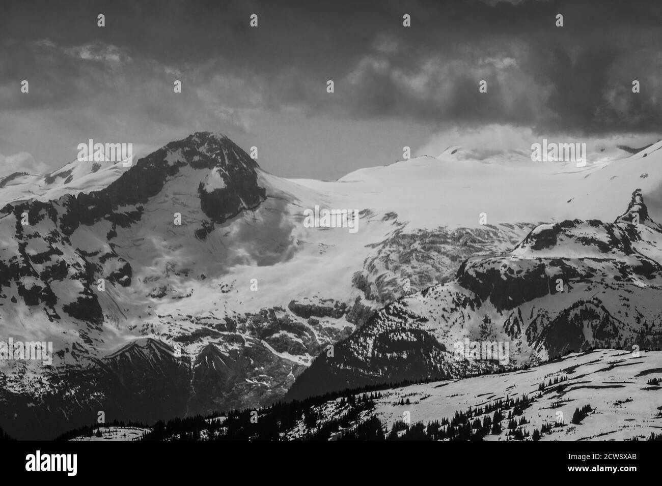 B&W Whistler in summer, BC Canada, Image 1372 Stock Photo
