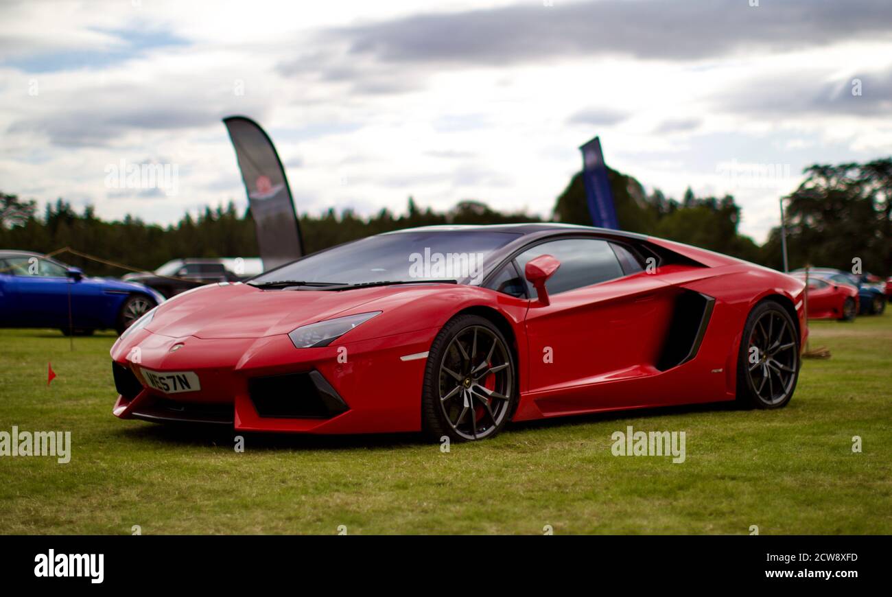 Lamborghini aventador on display at the 2020 Salon Privé Lamborghini