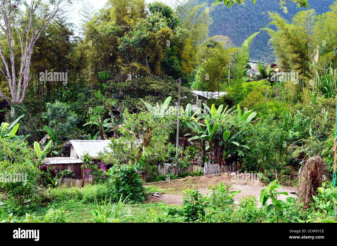 Ecuador Mindo Homes Stock Photo Alamy