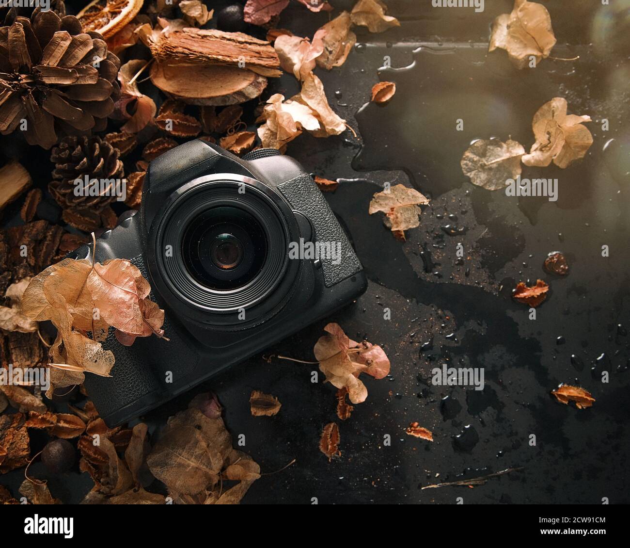 Dslr wallpaper hi-res stock photography and images - Alamy Dslr wallpaper hi-res stock photography and images - Alamy