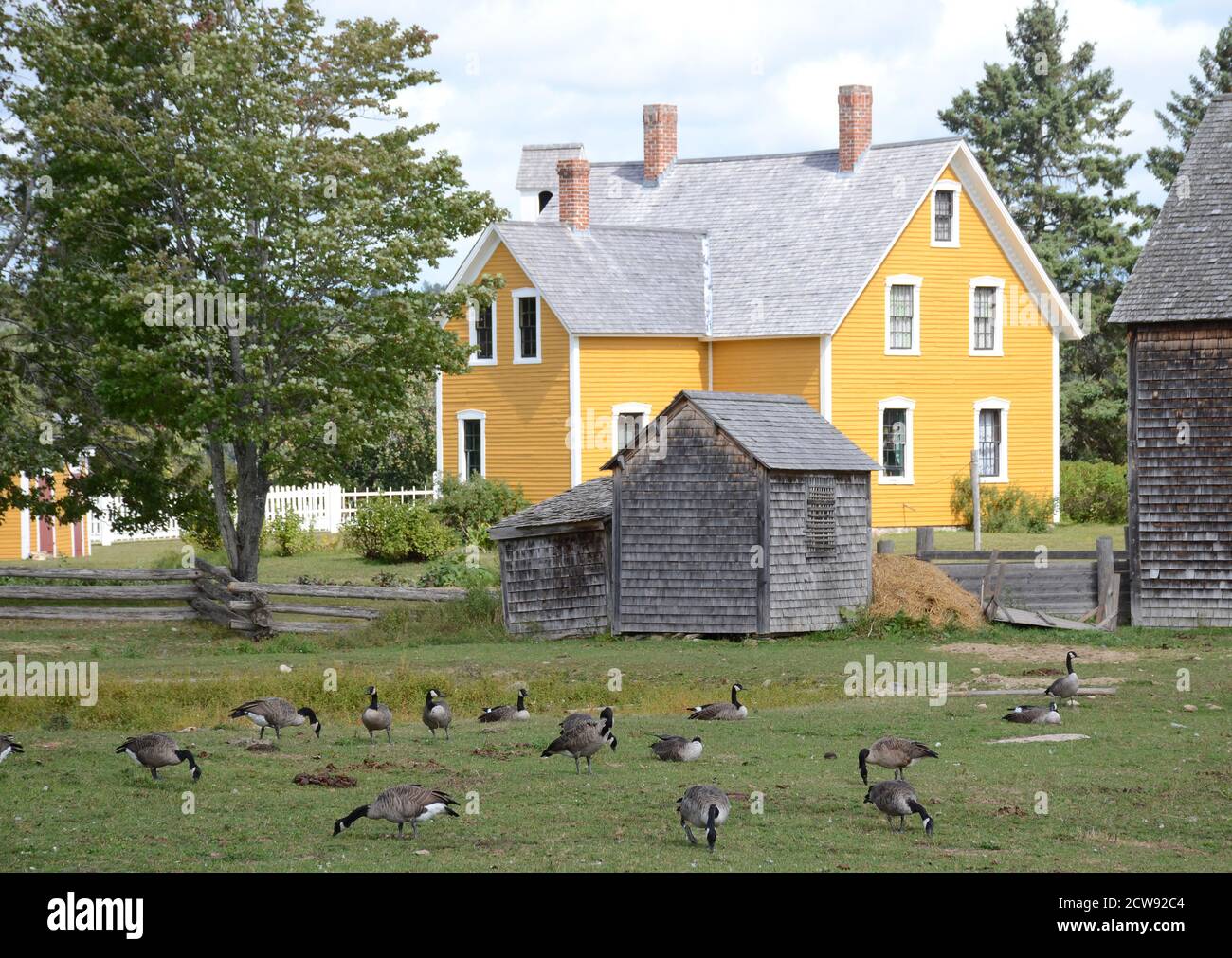 Buildings at Kings Landing Heritage Village Stock Photo Alamy