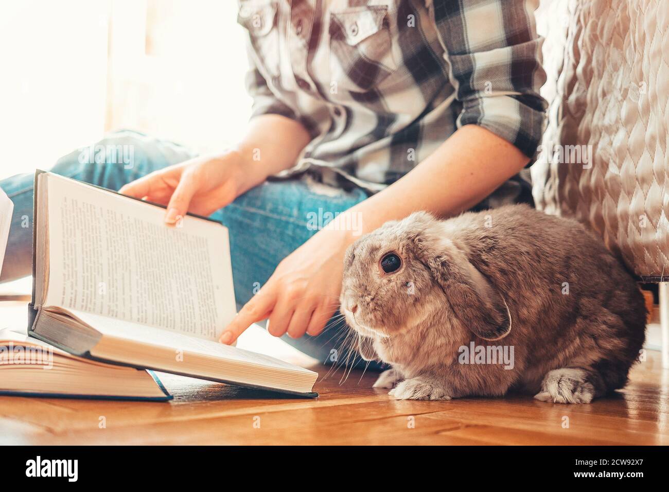 A female person sits on the floor and shows a book to a rabbit. Side ...