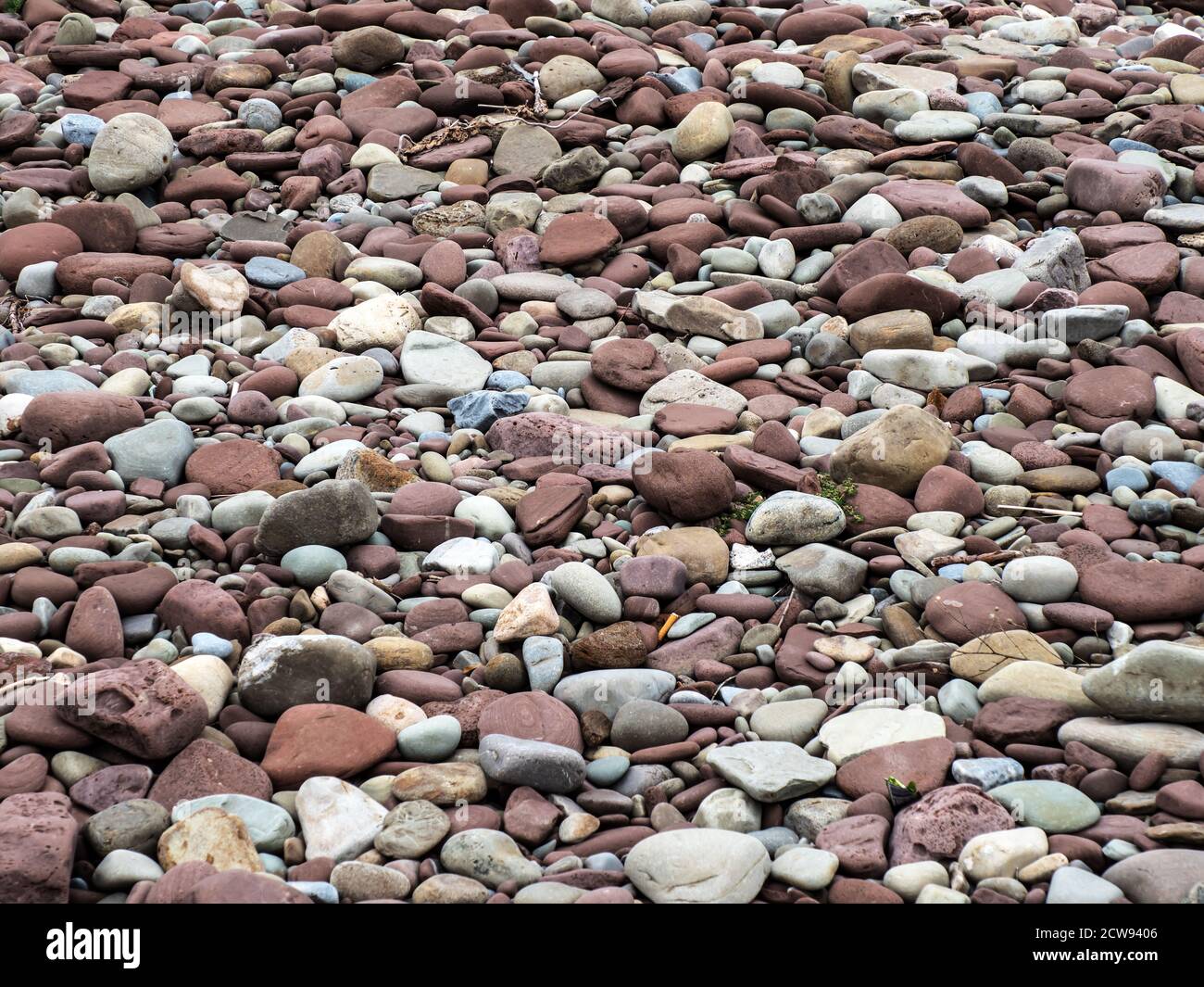 Assorted weathered rocks on the shore of Lake Ontario - 2 Stock Photo -  Alamy