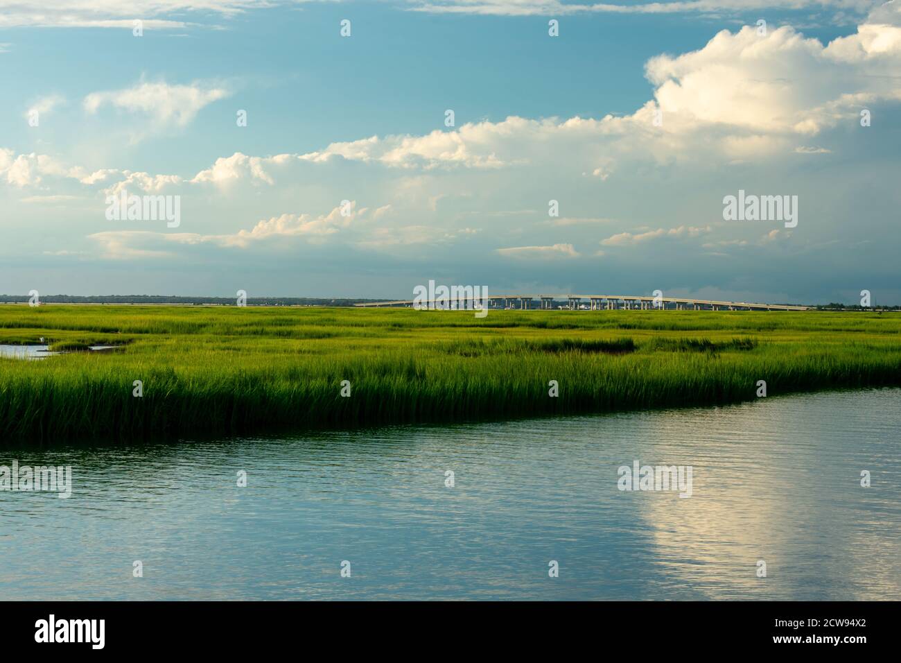 A Gorgeous View of the Bay and Lush Swampland Behind Wildwood New Jersey  Stock Photo - Alamy