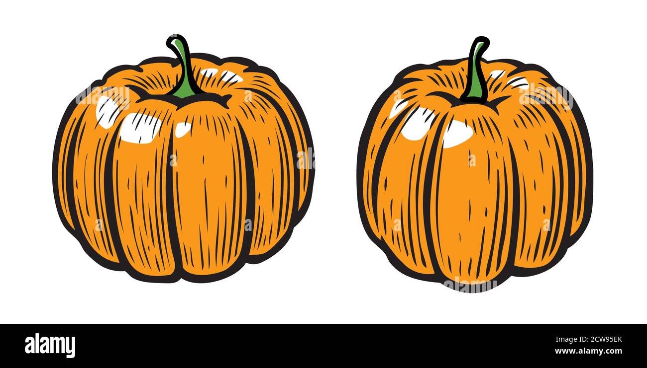 Pumpkin symbol. Vegetables cartoon vector illustration Stock Vector