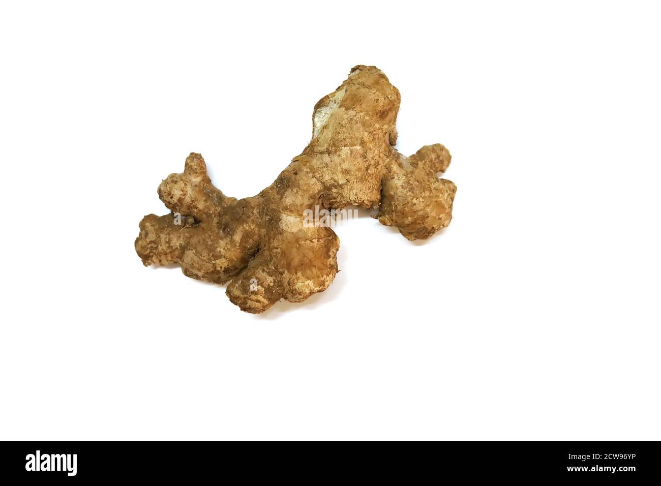 fresh ginger isolated on white backgrounds Stock Photo