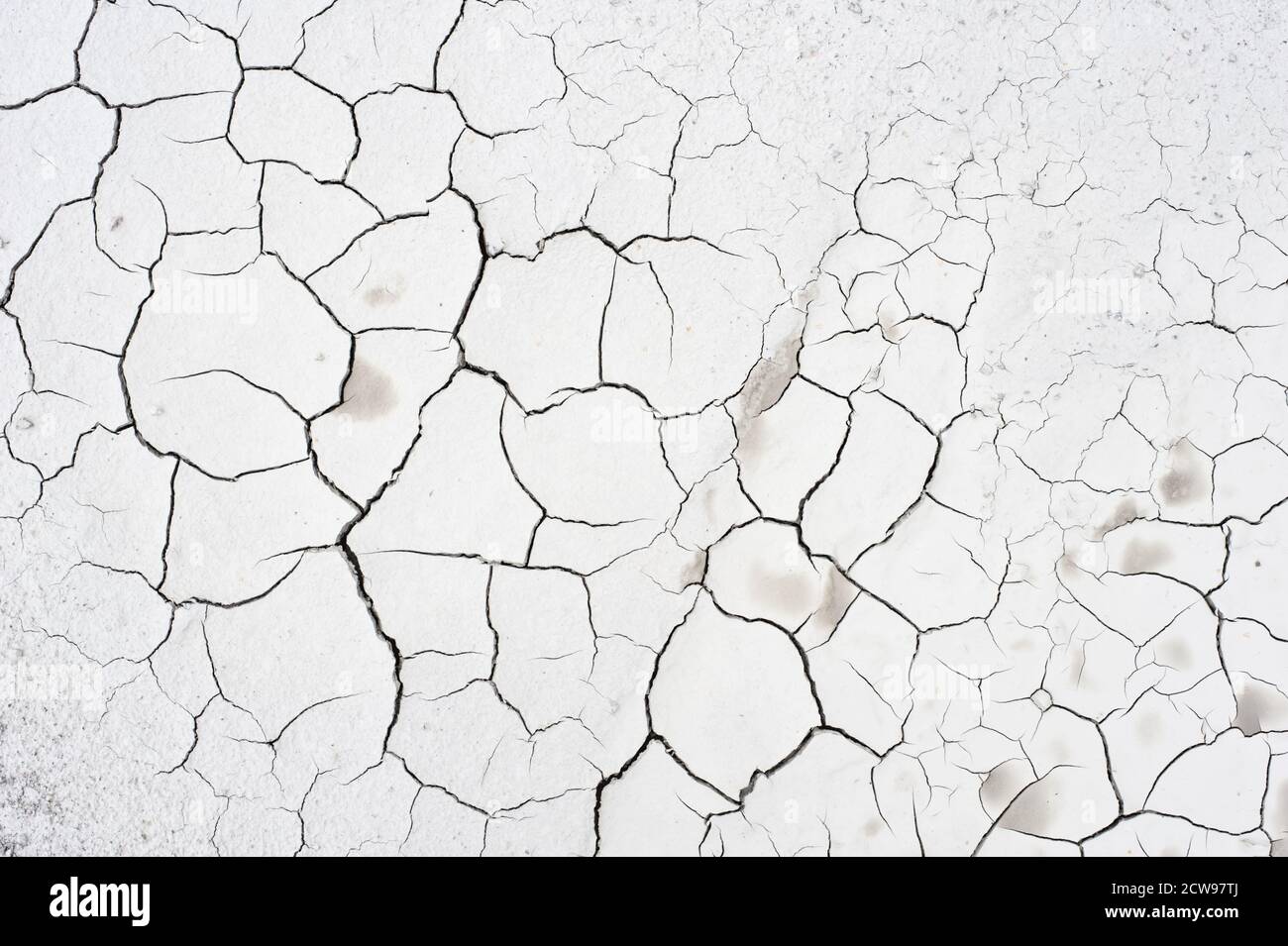 Detail of cracked clay soil texture Stock Photo Alamy