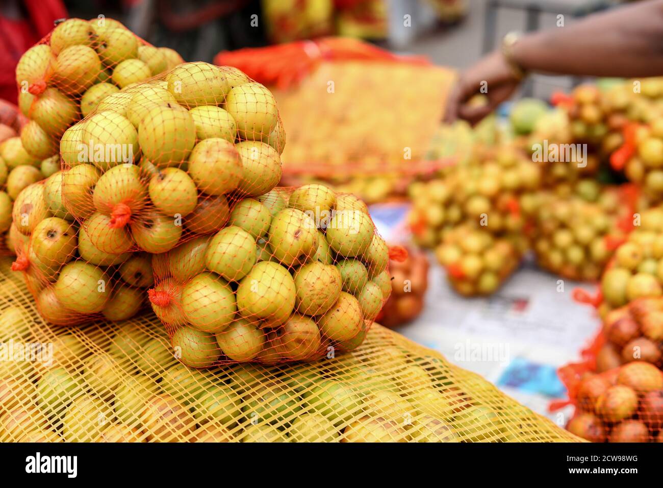 Jujube Fruits High Resolution Stock Photography And Images Alamy