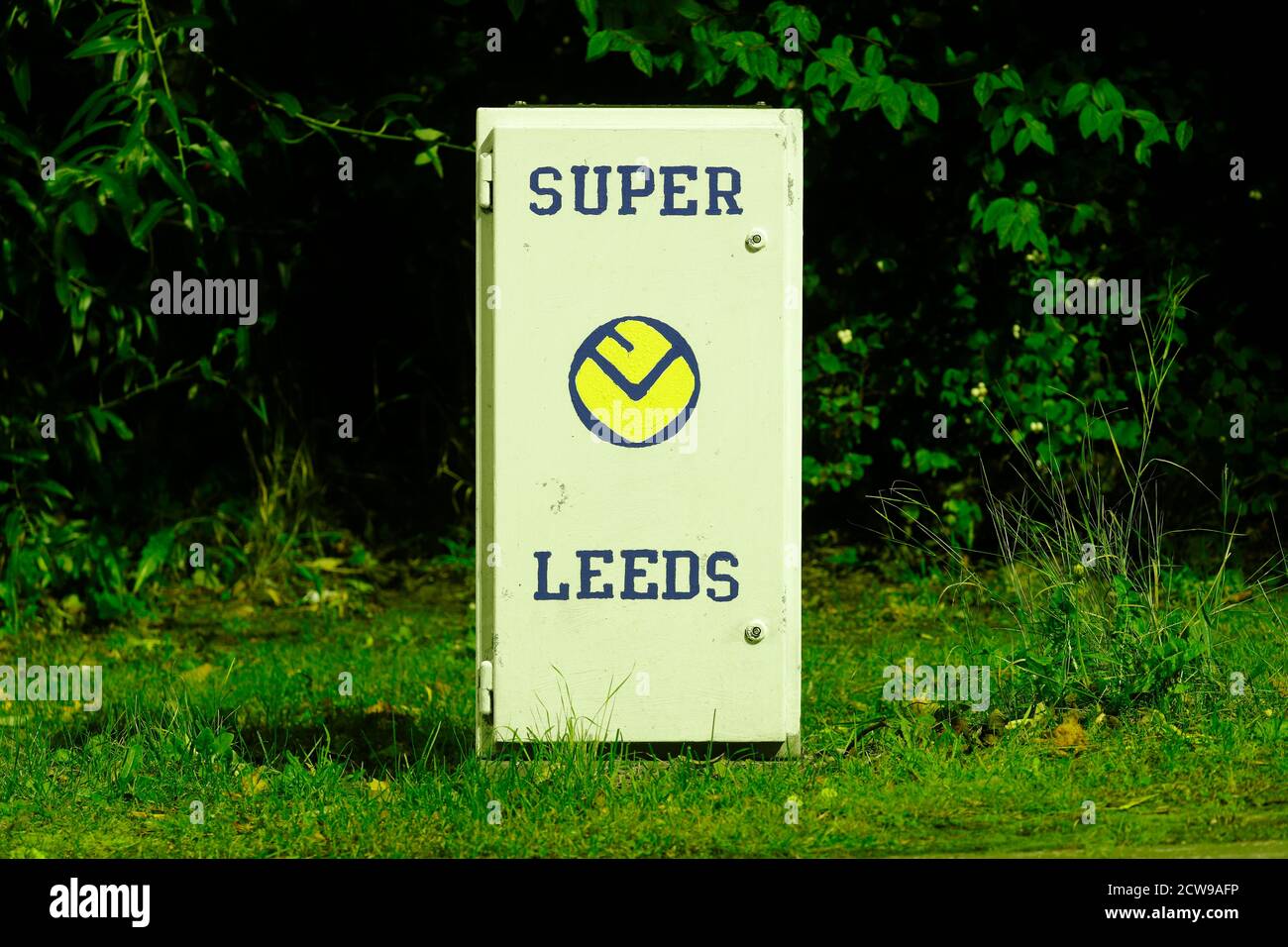 Leeds United art work on street furniture around Leeds by artist Andy