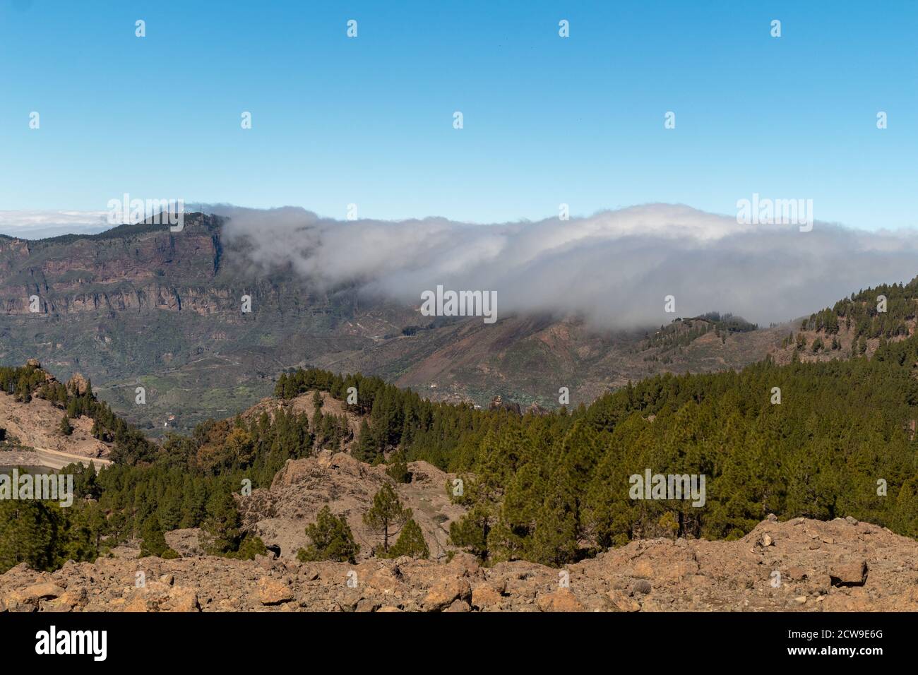 Mountainous landscape with pine forest and blue sky Stock Photo - Alamy