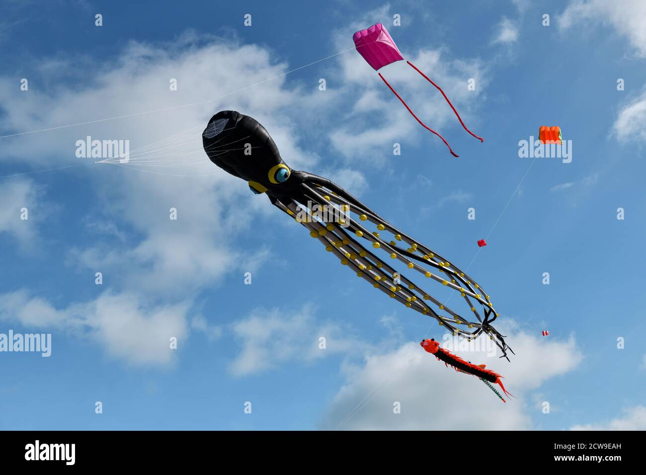 Kite festival. Octopus kites in the sky in Atlantic ocean Stock Photo