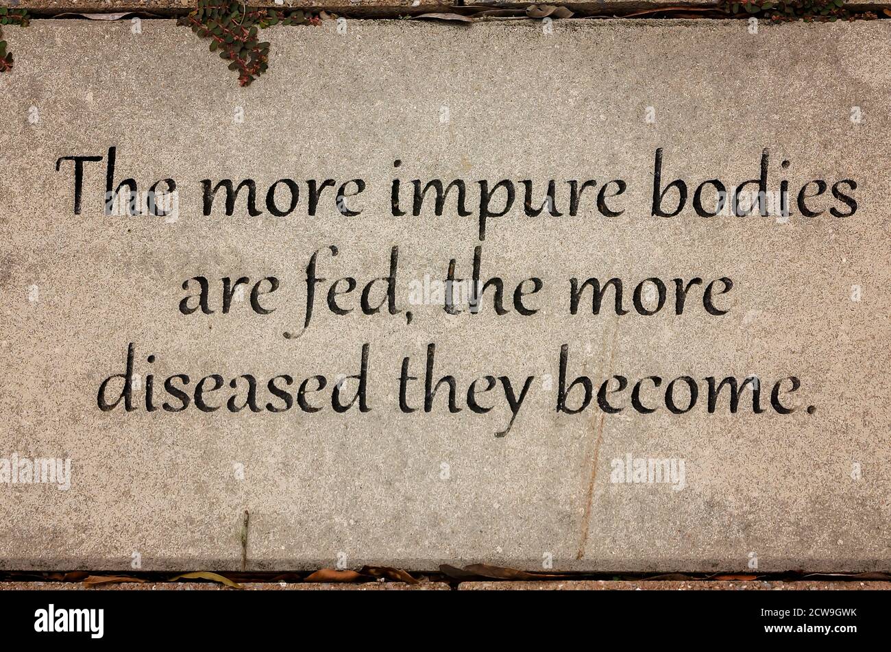 A quote from Hippocrates is inscribed in concrete on the campus of the University of South Alabama, Sept. 26, 2020, in Mobile, Alabama. Stock Photo