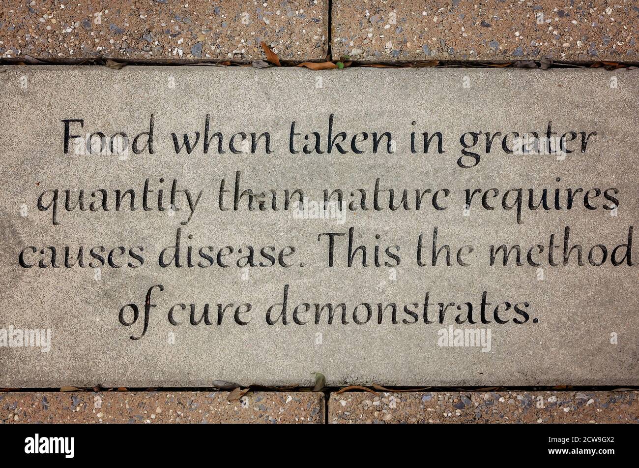 A quote from Hippocrates is inscribed in concrete on the campus of the University of South Alabama, Sept. 26, 2020, in Mobile, Alabama. Stock Photo