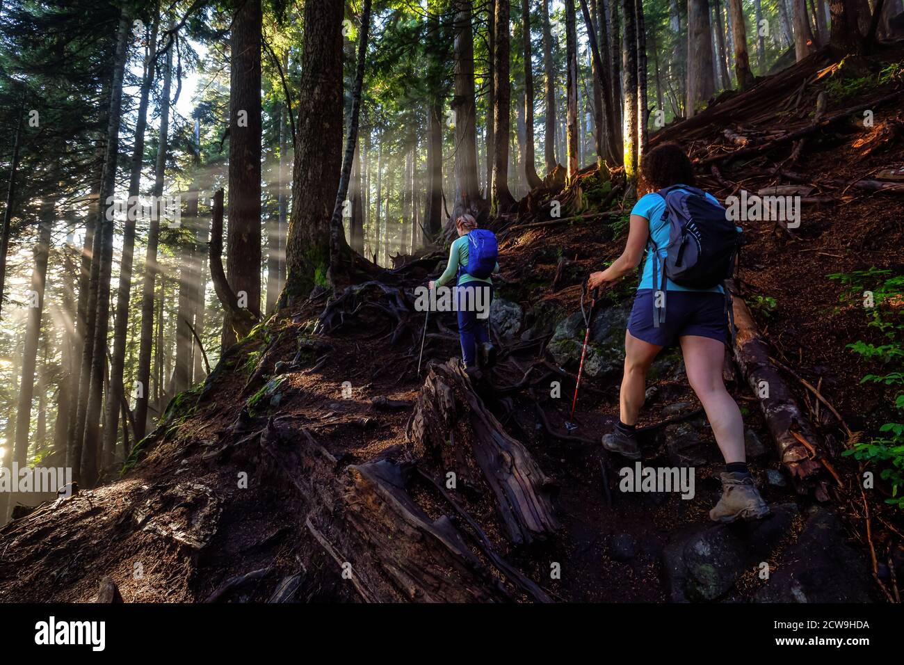 Girl Outdoor Hiking on a Trail in the Woods Stock Photo - Alamy