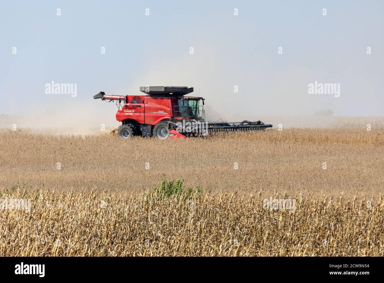 Harvesting soybeans near Morning Sun in Louisa County, Iowa Stock Photo