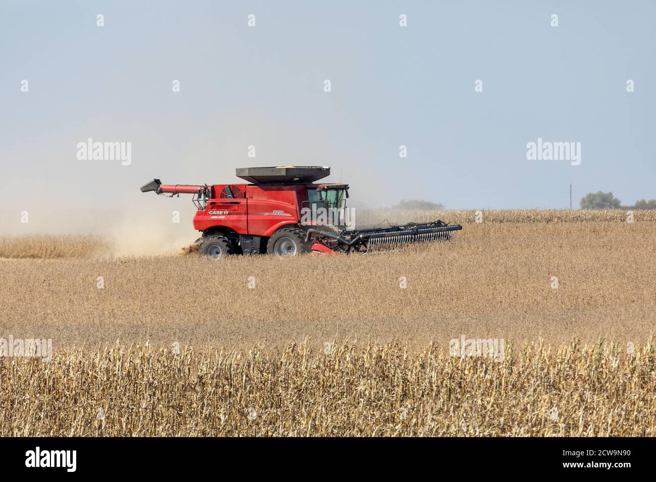 Harvesting soybeans near Morning Sun in Louisa County, Iowa Stock Photo