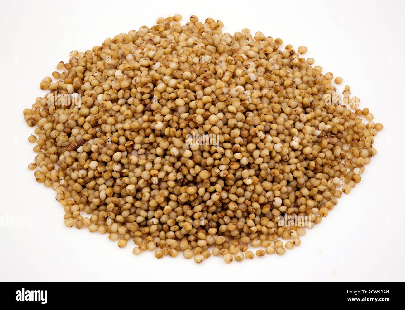 Close-up of kodo millet grains on an isolated white background Stock Photo