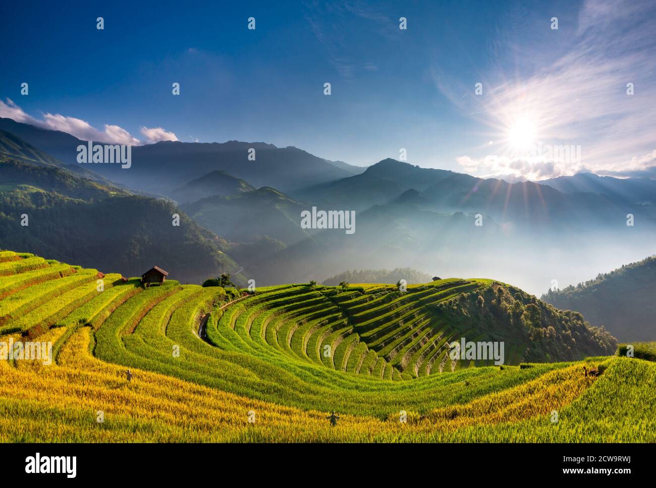 Sunset over Terraced rice field with lens flares, Mu Cang Chai, Yen Bai, Vietnam Stock Photo