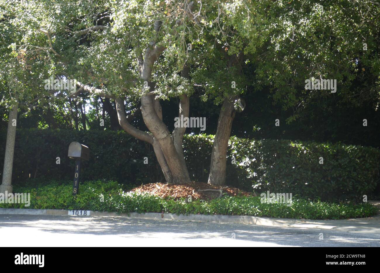 Beverly Hills, California, USA 28th September 2020 A general view of