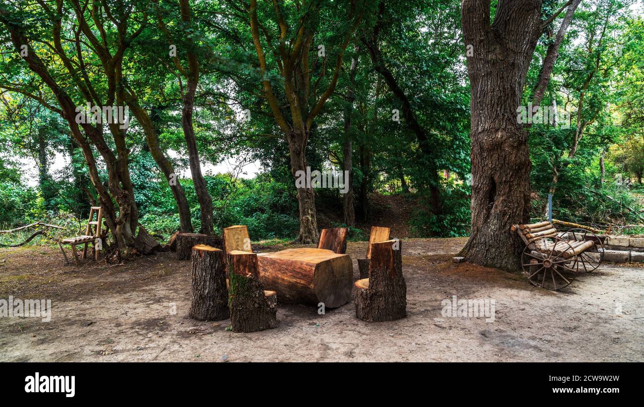 Picnic site with wooden table and benches in forest Stock Photo - Alamy