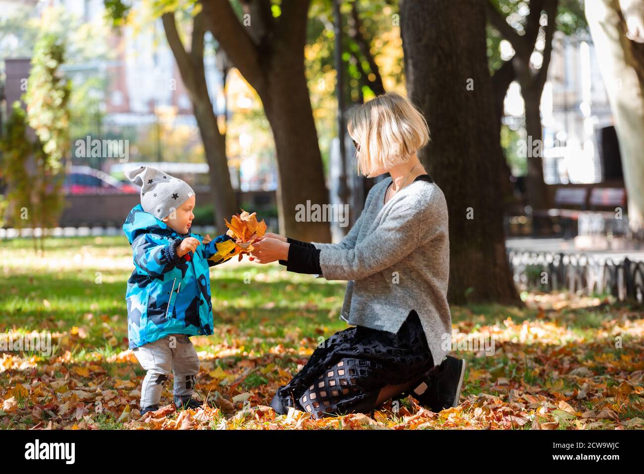 Little boy with mother in park in autumn Stock Photo - Alamy