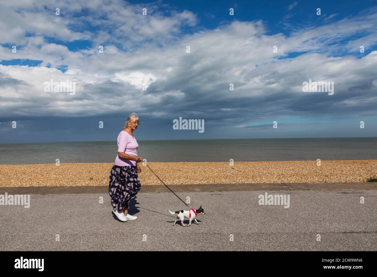 England, Kent, Deal, Lady Walking Small Dog on Seafront Promenade Stock Photo
