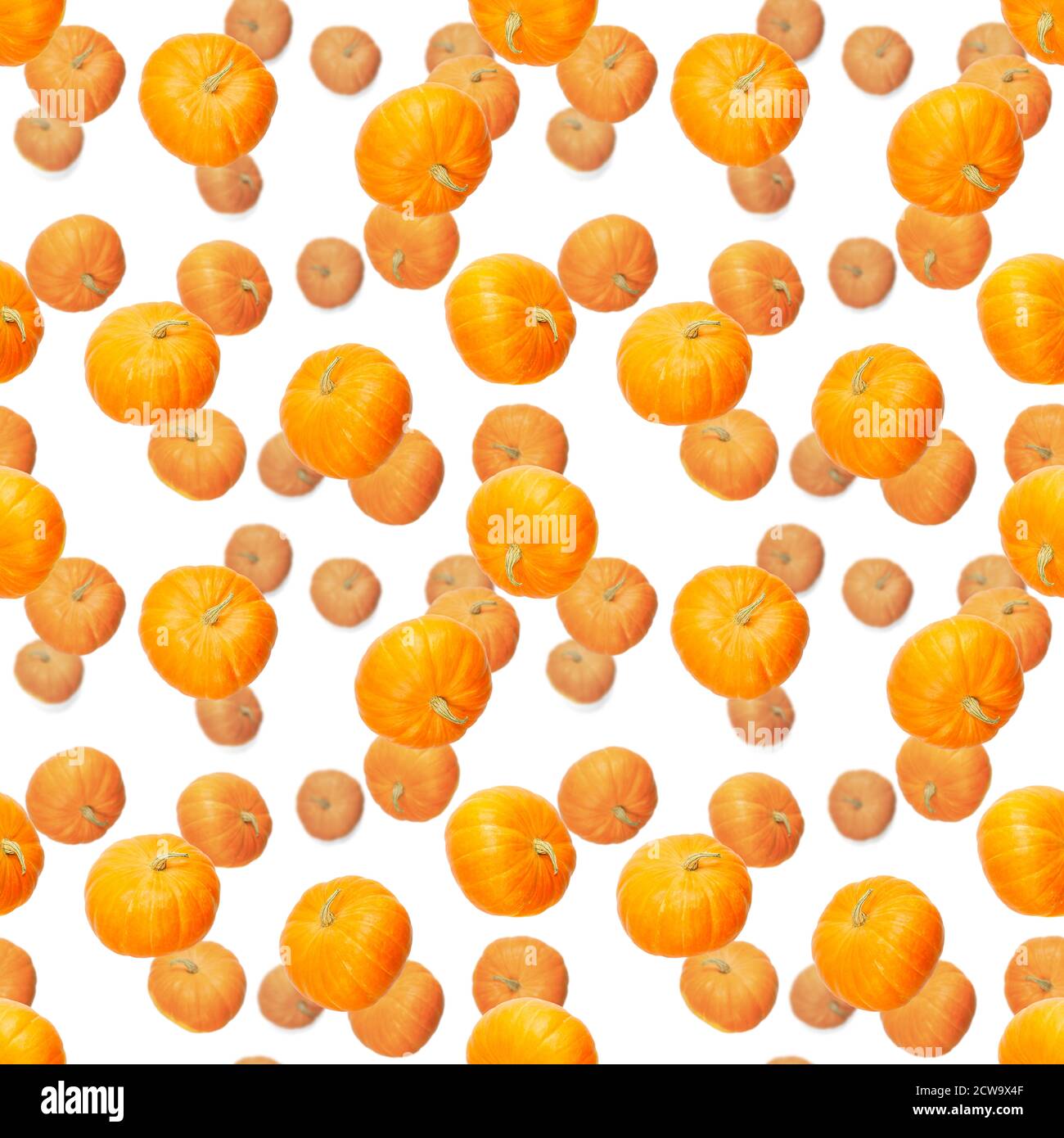 Seamless pattern with pumpkin. Autumn abstract seamless pattern made from Pumpkins on the white background. Pumpkin quality pattern. Stock Photo