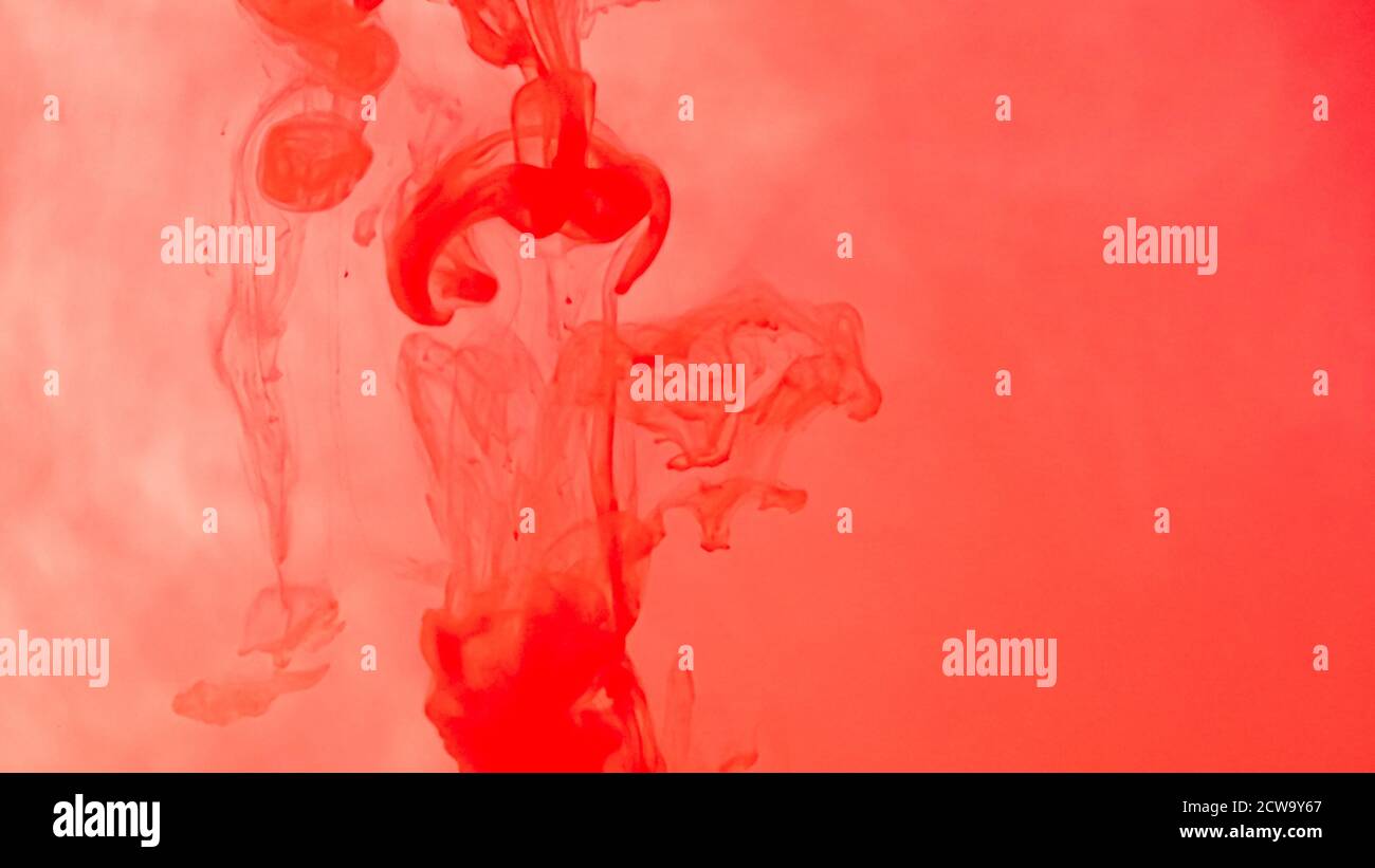 Red ink drop in water on white background. Watercolor paint splash ...