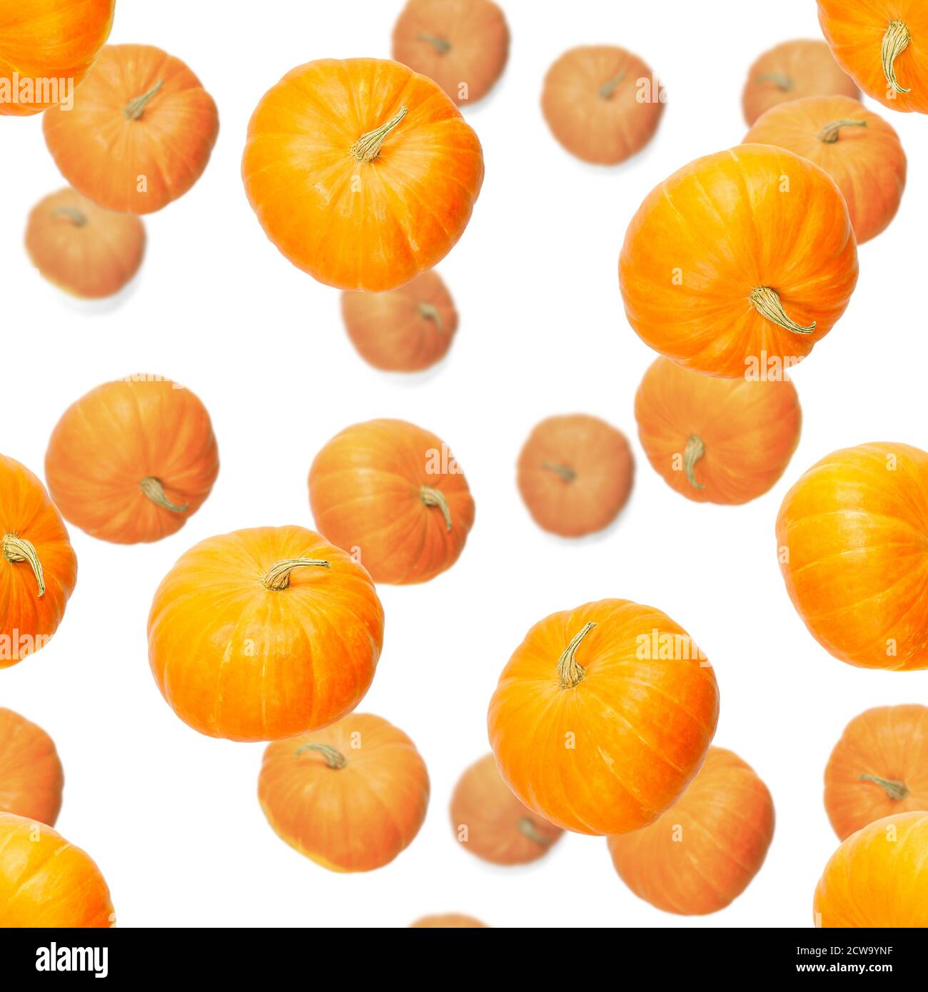 Seamless pattern with pumpkin. Autumn abstract seamless pattern made from Pumpkins on the white background. Pumpkin quality pattern. Stock Photo