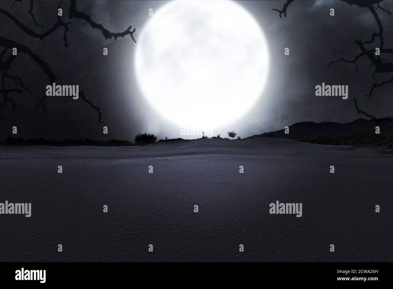Field with fog with moonlight background Stock Photo - Alamy