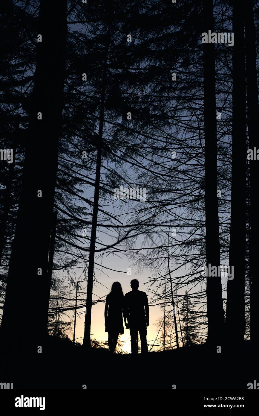 Friends Holding Hands Silhouette High Resolution Stock Photography And Images Alamy Friends Holding Hands Silhouette High Resolution Stock Photography And Images Alamy