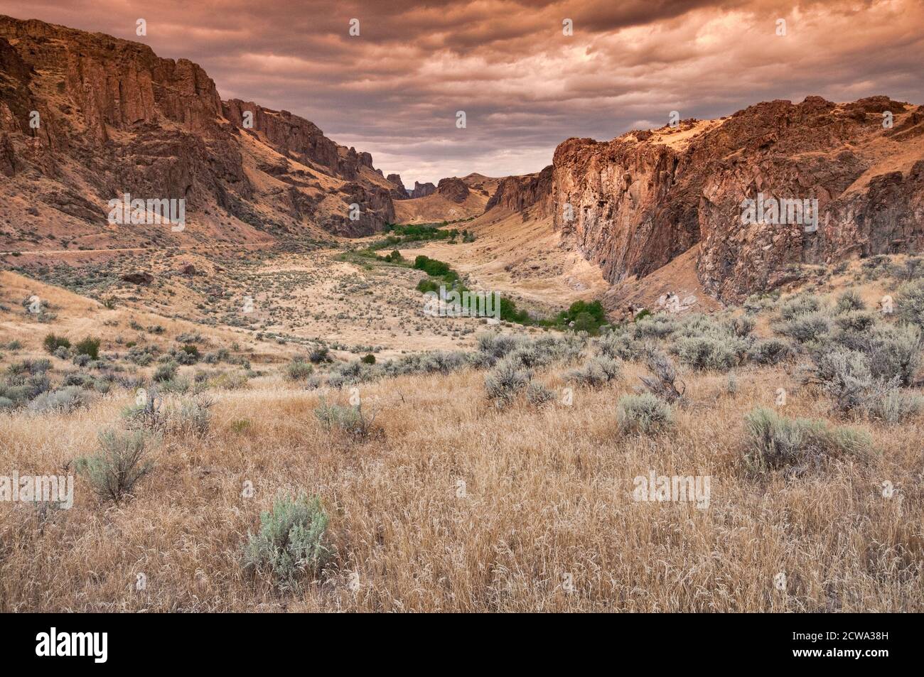 Volcanic rhyolite rock cliffs in Succor Creek Valley, Three Fingers ...