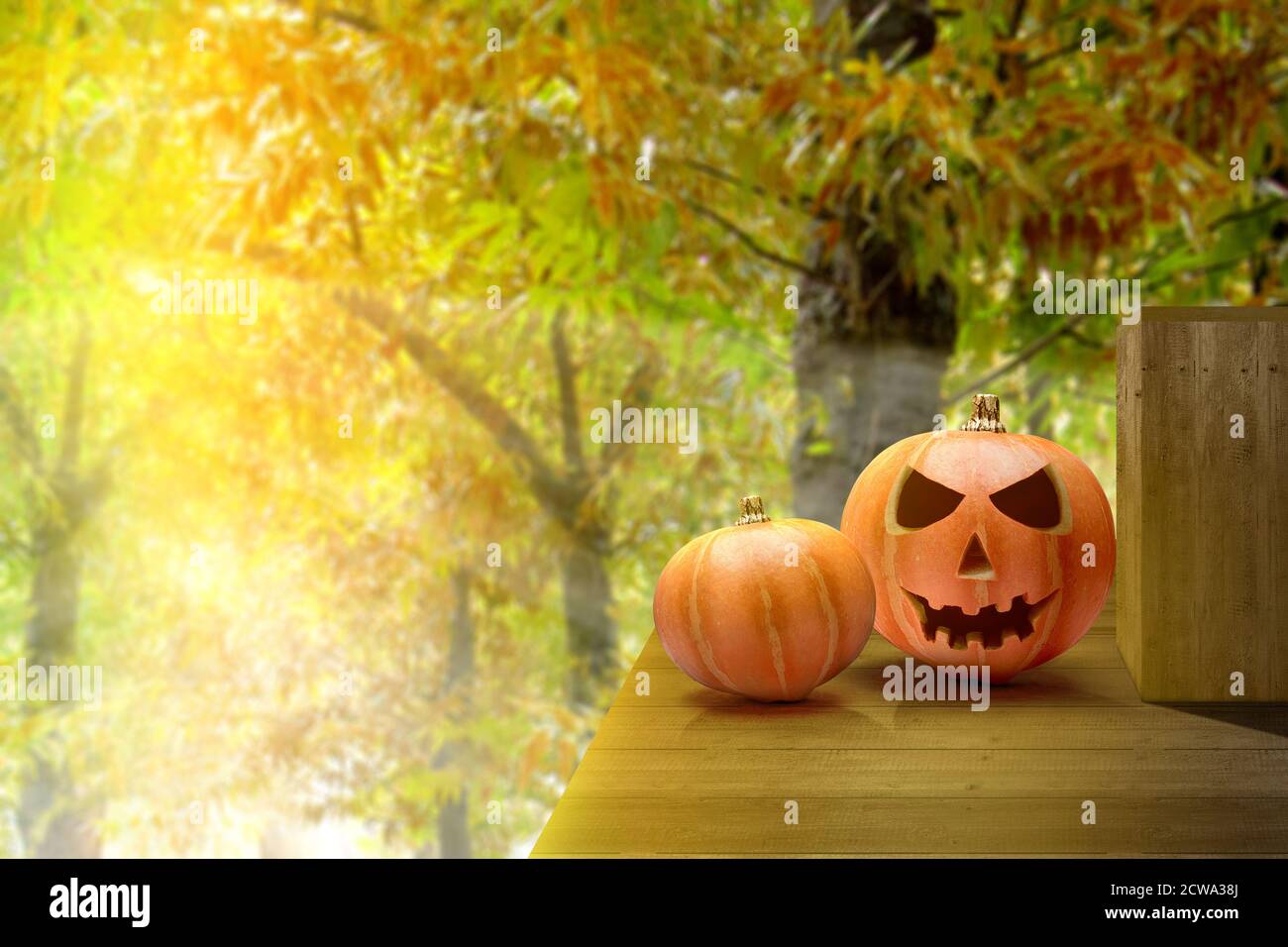 Jack-o-Lantern on wooden table with a forest background Stock Photo - Alamy