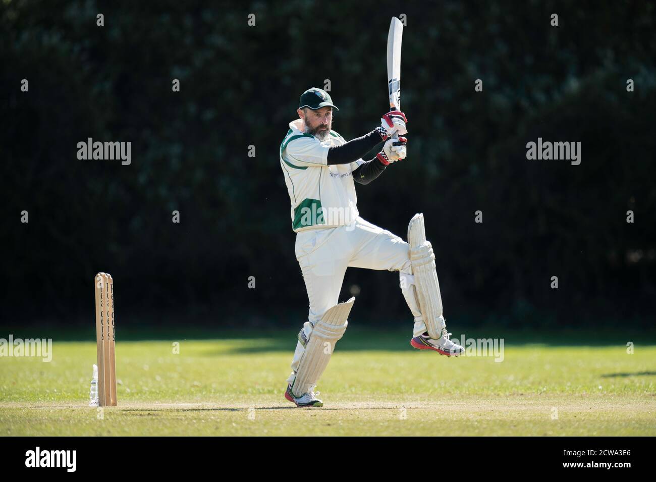 Cover drive cricket hires stock photography and images Alamy