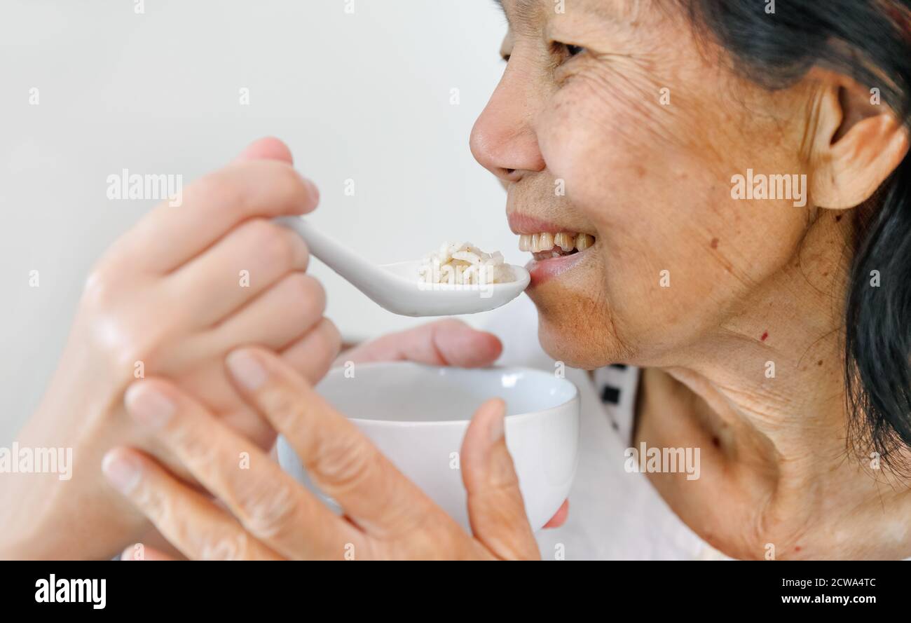 Caregiver feeding elderly parents Stock Photo Alamy