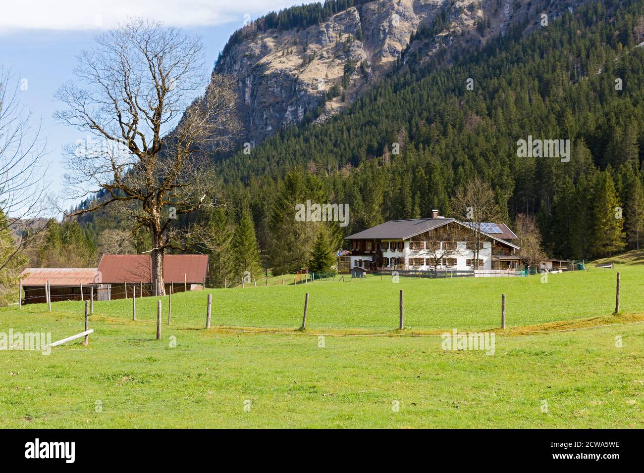 Oberstdorf, Stillachtal, Bergbauernhof, Wiesen, Bergwald, Bayern, Deutschland Stock Photo