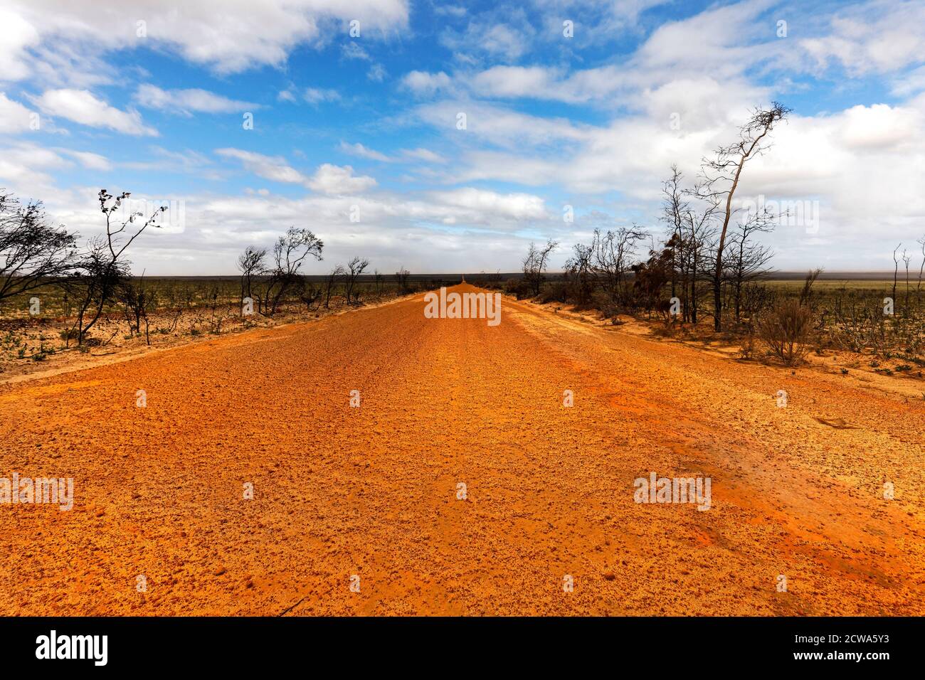 Lake King Norseman road, Western Australia Stock Photo