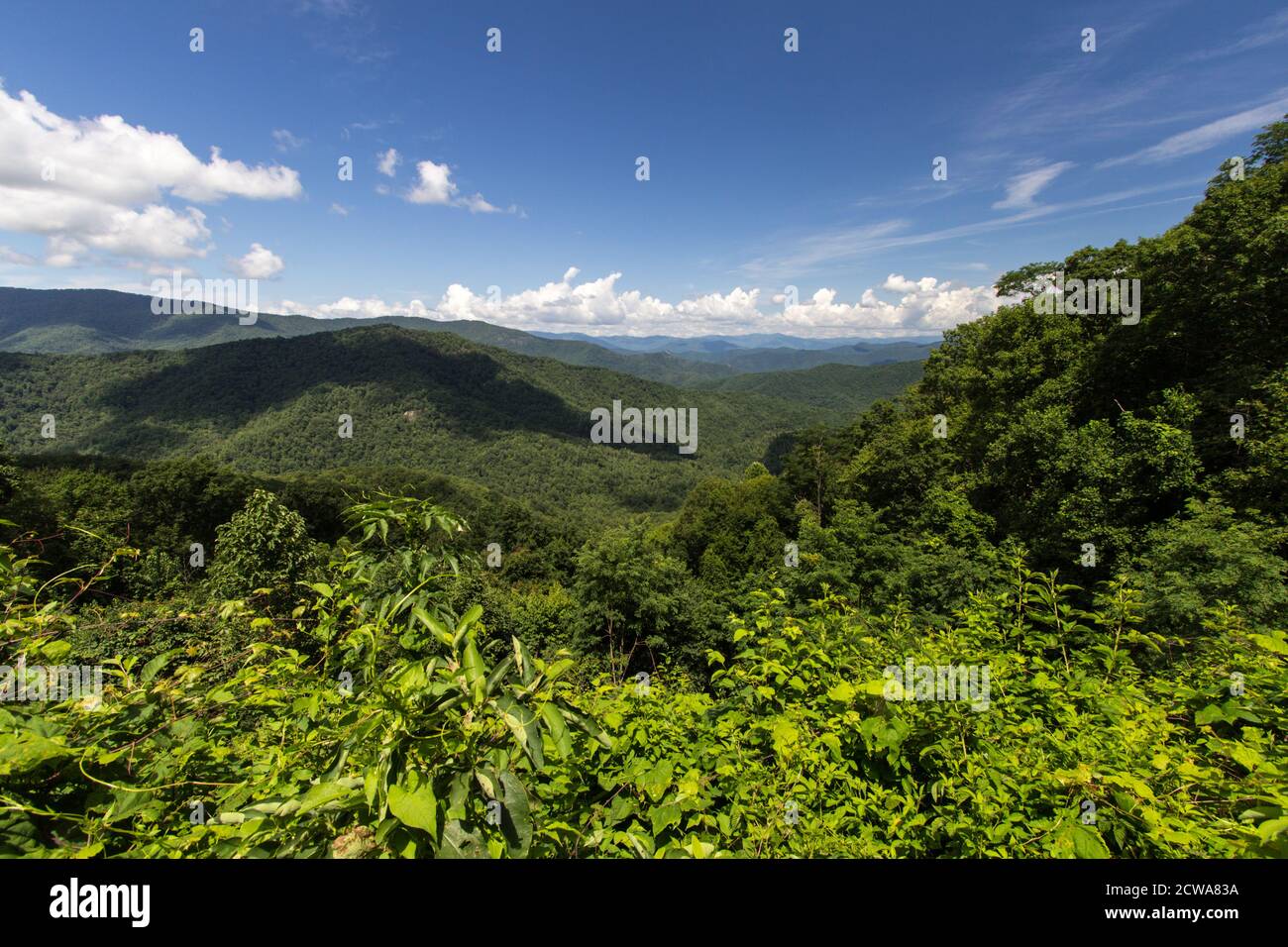 Scenic Appalachian Mountain overlook on the Foothills Parkway in the Great Smoky Mountains National Park of Tennessee. Stock Photo