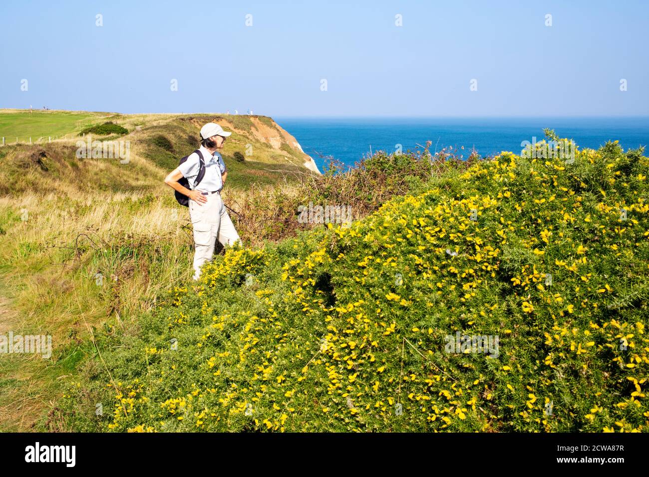 A view from the coastal path between Flamborough Head and North Landing, North Yorkshire, UK Stock Photo