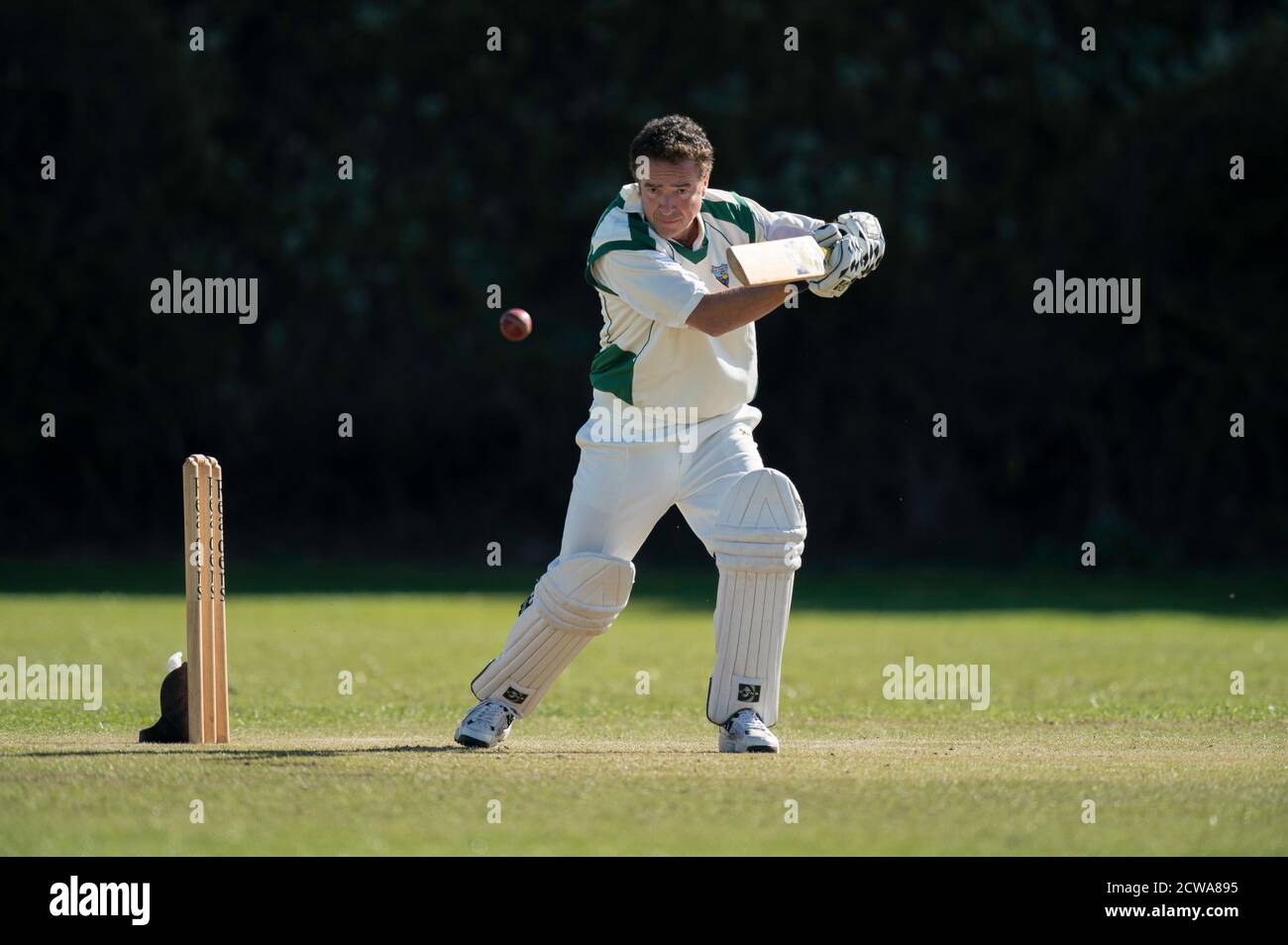 Cricket batsman playing shot. Stock Photo
