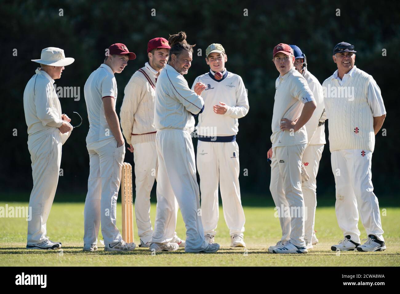 Cricket players in group Stock Photo Alamy