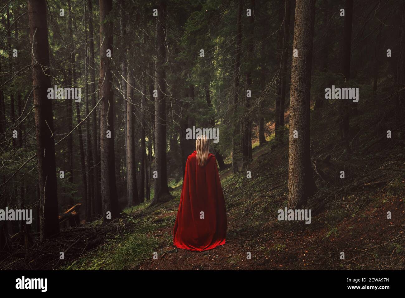 Woman with red cloak in a fairy forest Stock Photo - Alamy