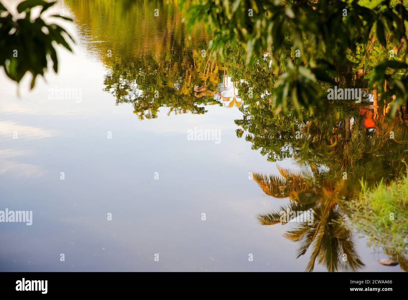 Houses, trees and sky reflecting in a pond in a park in Fort Lauderdale, Florida, USA Stock Photo