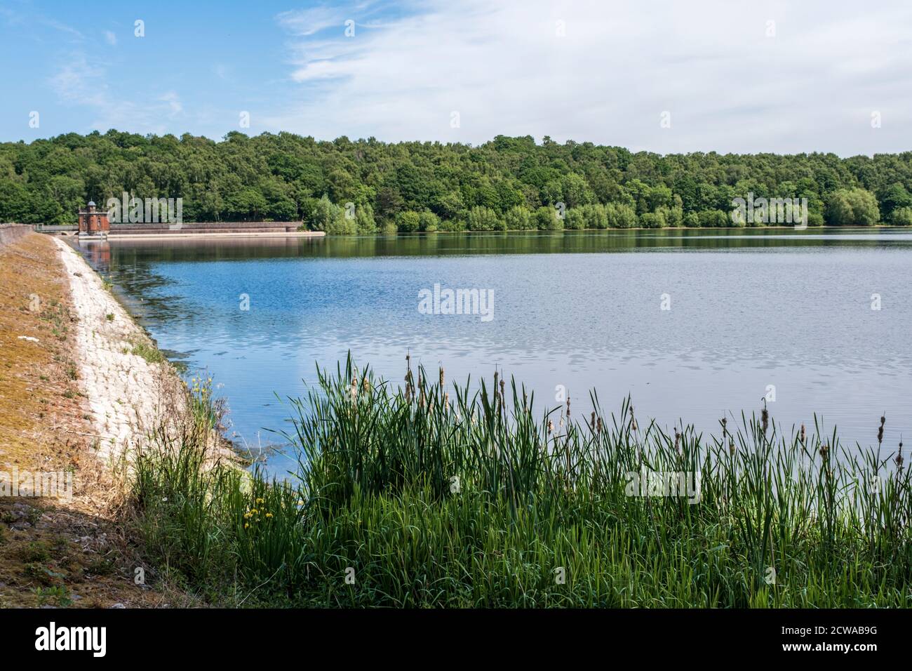 Swithland Reservoir is a reservoir in the English county of Leicestershire. The Great Central Railway crosses over it. Stock Photo