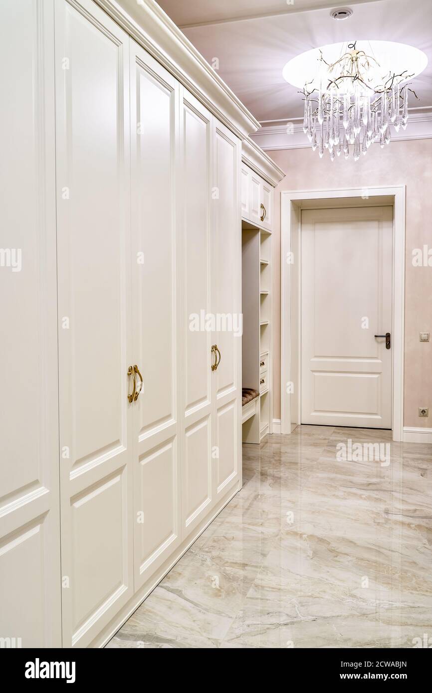 Classic wardrobe and interior door in contemporary bright hallway