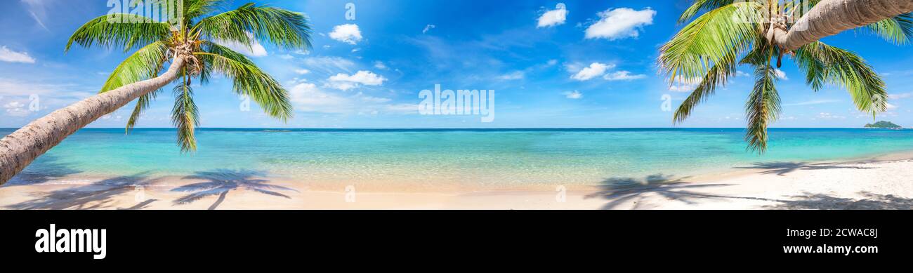 panorama of tropical beach with coconut palm trees Stock Photo - Alamy