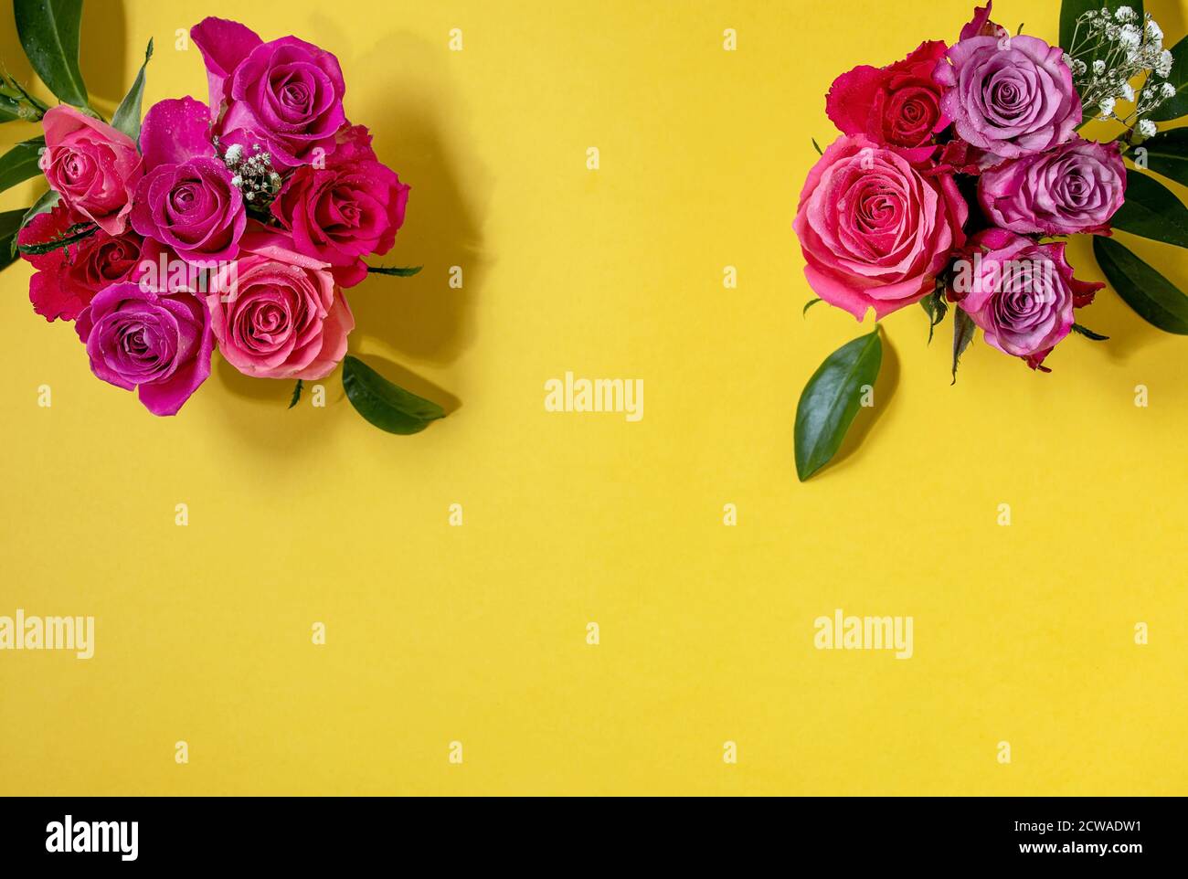 Creative layout with beautiful pink roses flowers and green leaves on ...