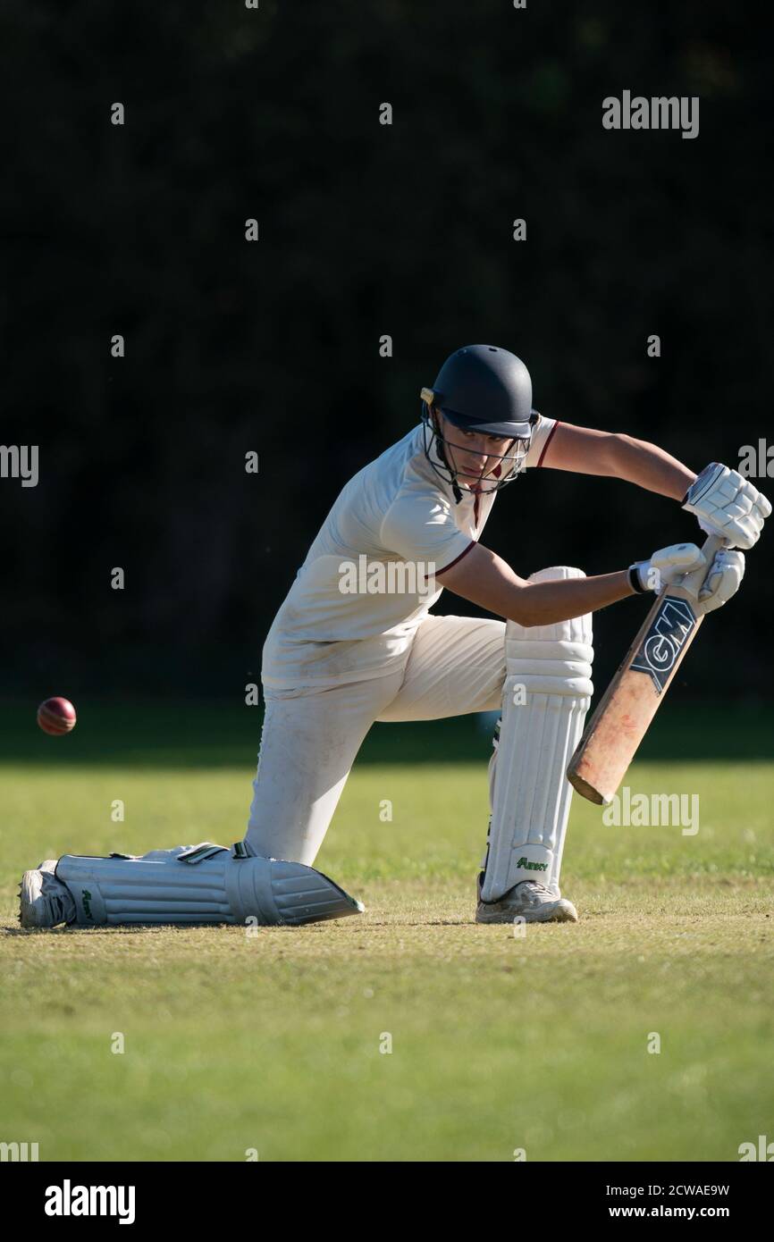 Cricket batsman playing shot. Stock Photo