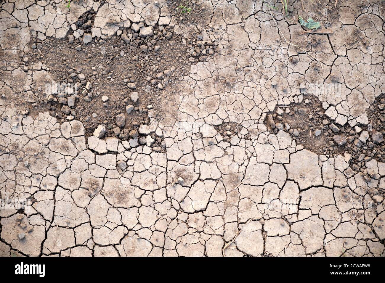 Closeup of broken dried out arid soil in Germany in September. Stock Photo
